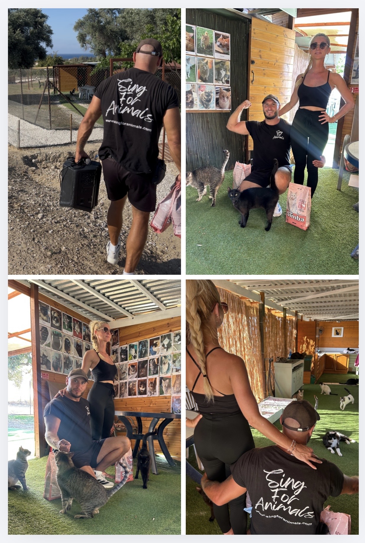 Shelter visits across Europe โ feeding and caring for animals in need
